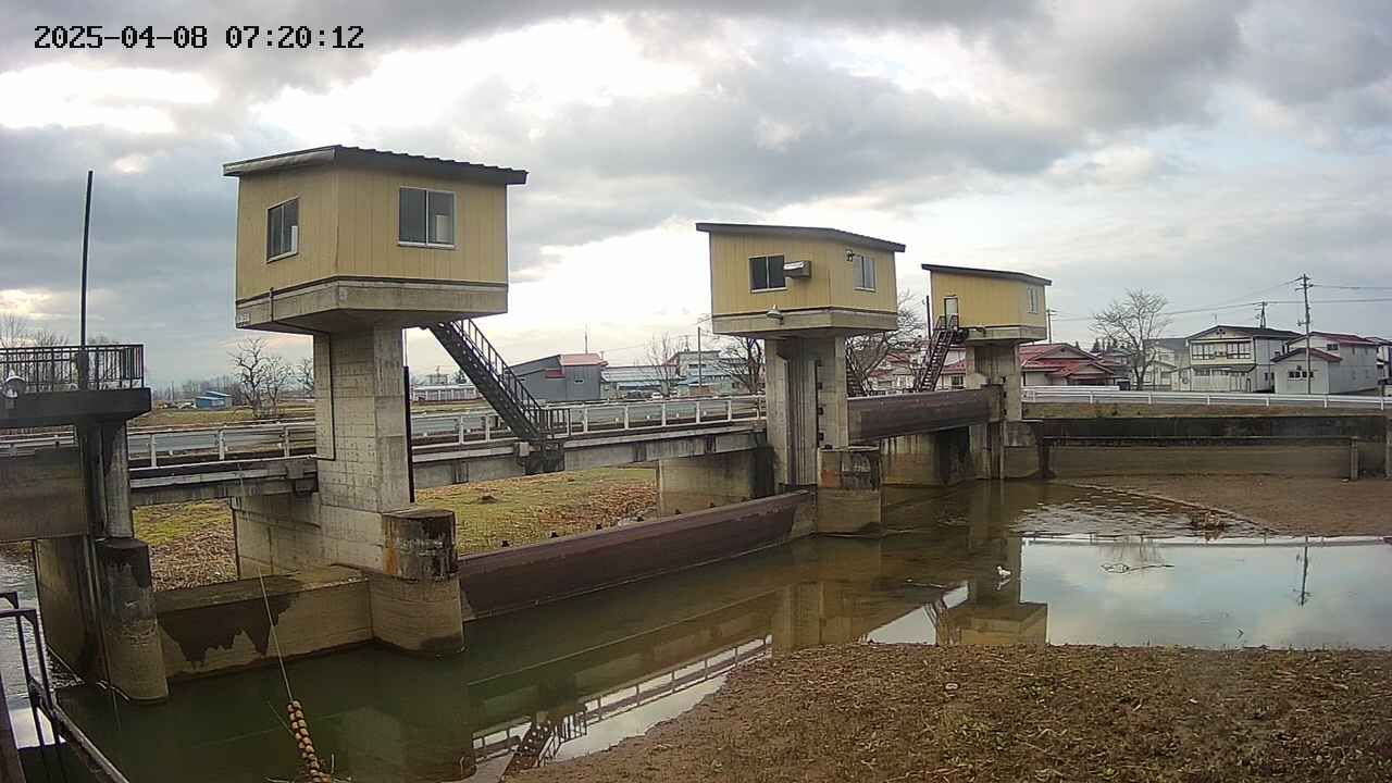 area1-20250408072013.jpg