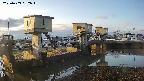 area1-20250409062013.jpg
