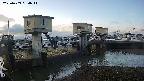 area1-20250409064012.jpg