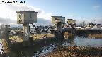 area1-20250409070014.jpg