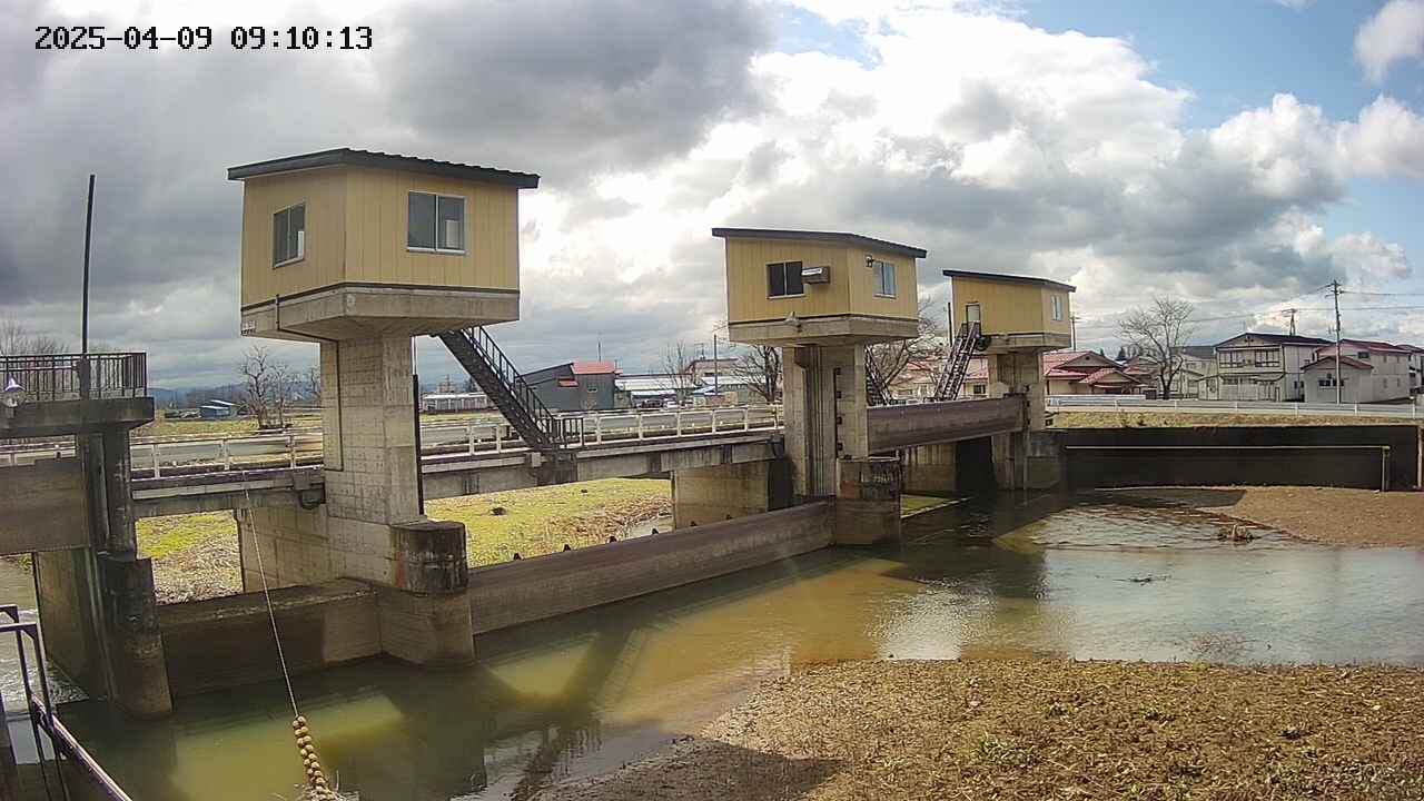 area1-20250409091014.jpg