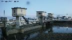 area1-20250409184015.jpg