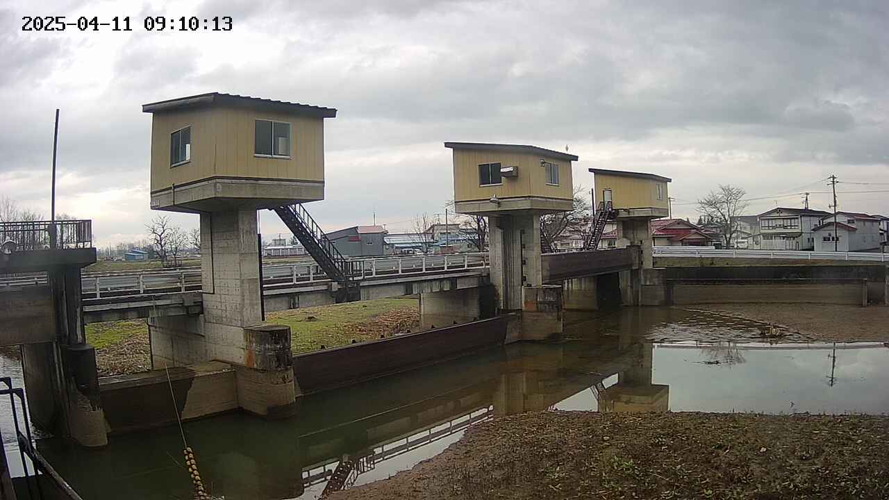 area1-20250411091014.jpg