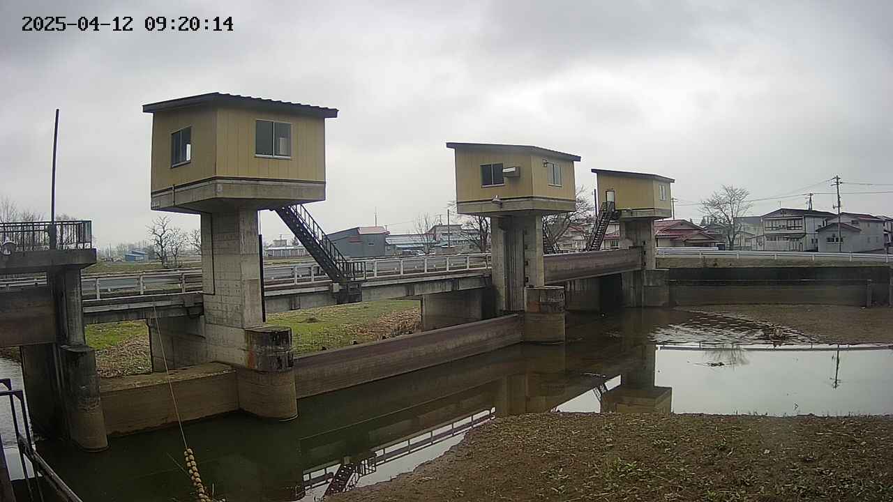 area1-20250412092015.jpg