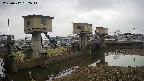 area1-20250412092015.jpg