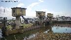 area1-20250412105015.jpg