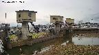 area1-20250413082014.jpg