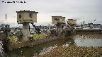 area1-20250413115018.jpg