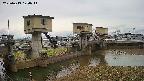 area1-20250413120015.jpg