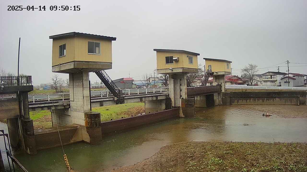 area1-20250414095016.jpg