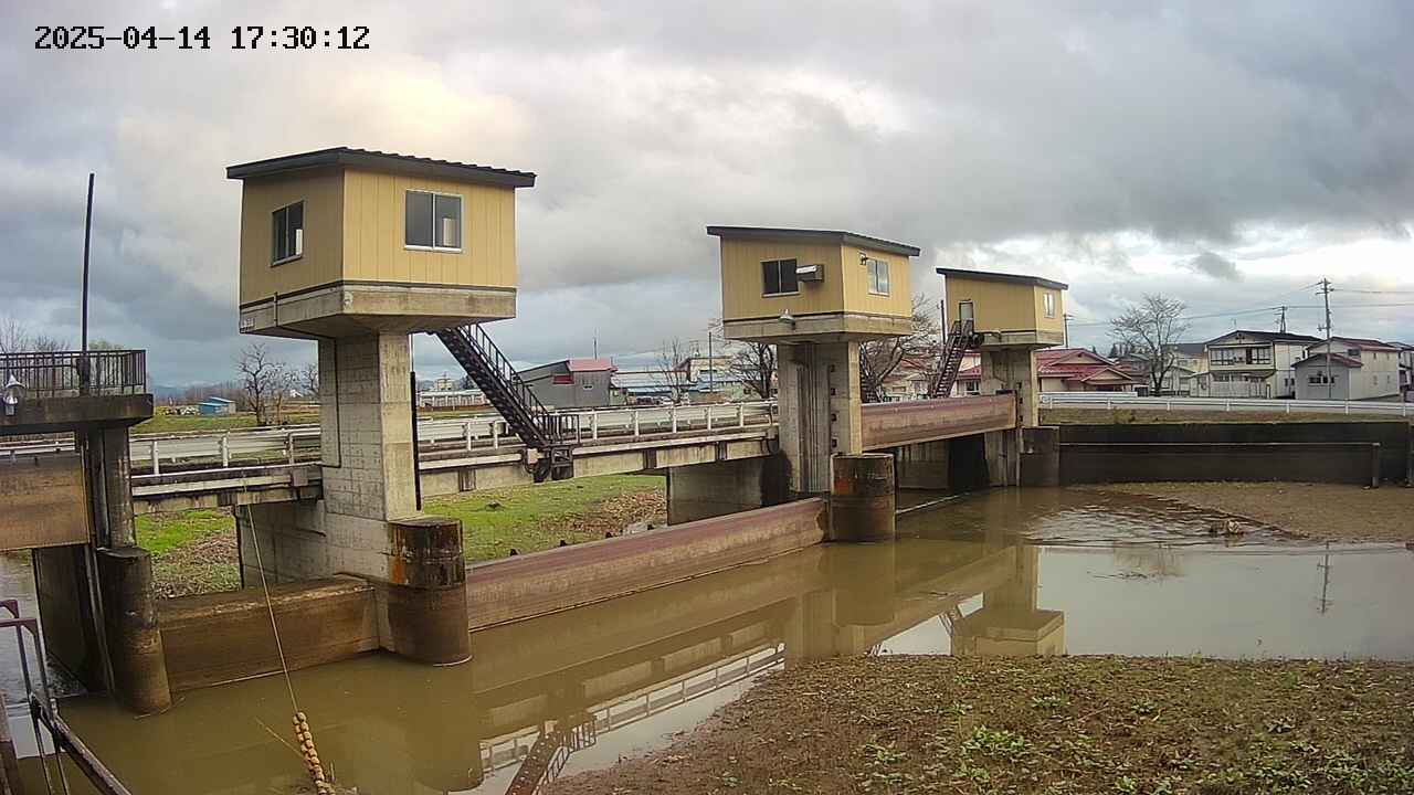 area1-20250414173013.jpg