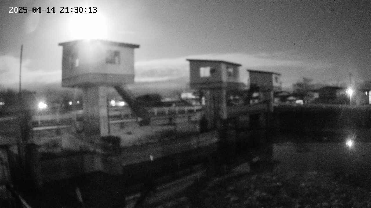 area1-20250414213013.jpg