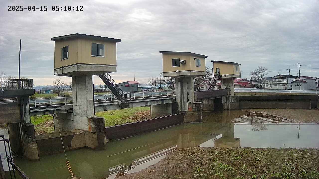 area1-20250415051013.jpg