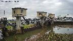 area1-20250415052014.jpg