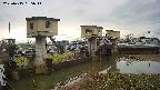 area1-20250415065014.jpg