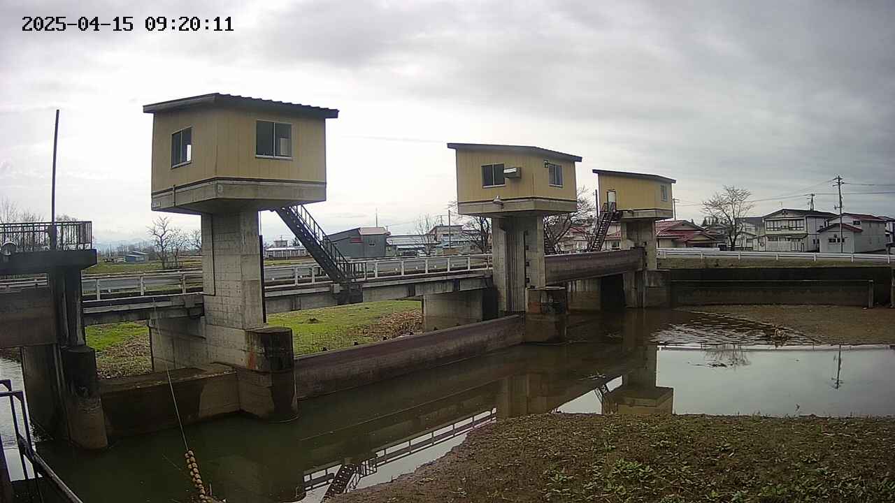 area1-20250415092012.jpg