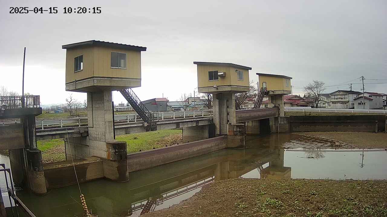 area1-20250415102016.jpg