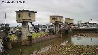 area1-20250415112015.jpg