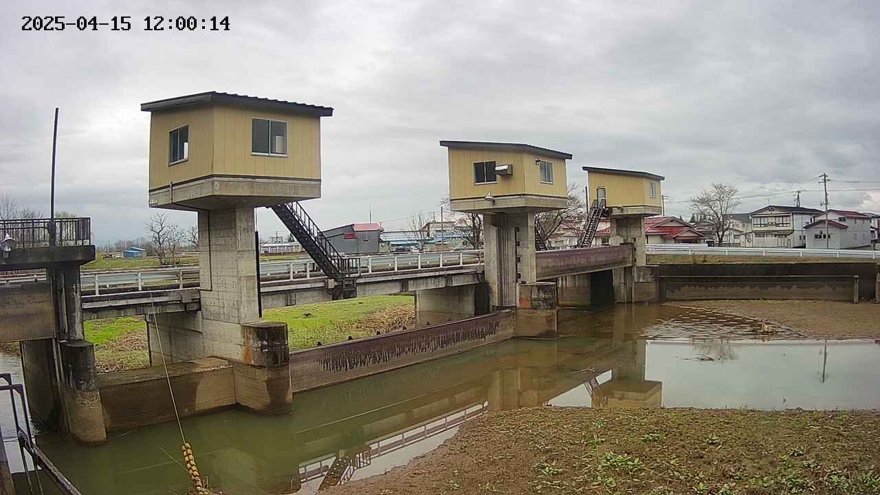 area1-20250415120015.jpg