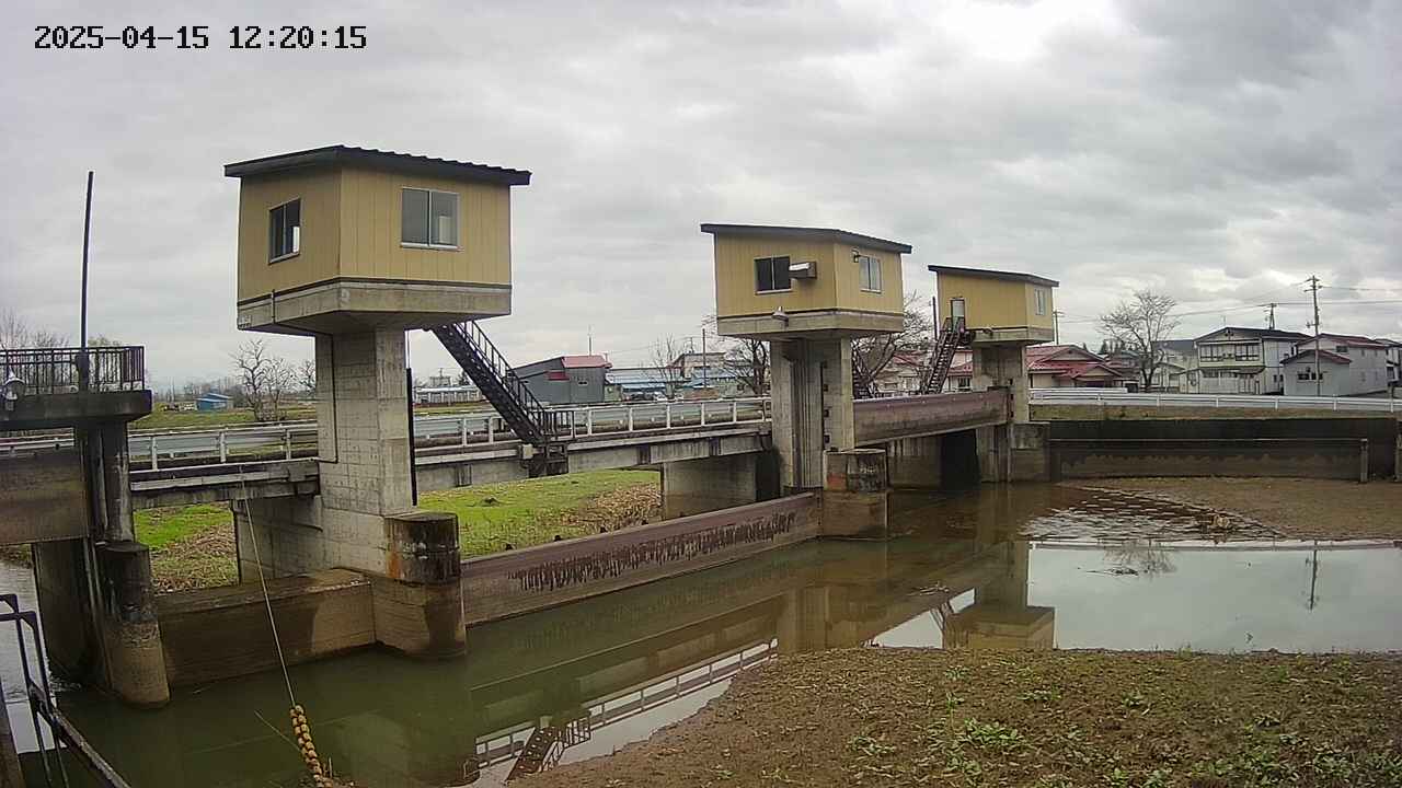 area1-20250415122016.jpg