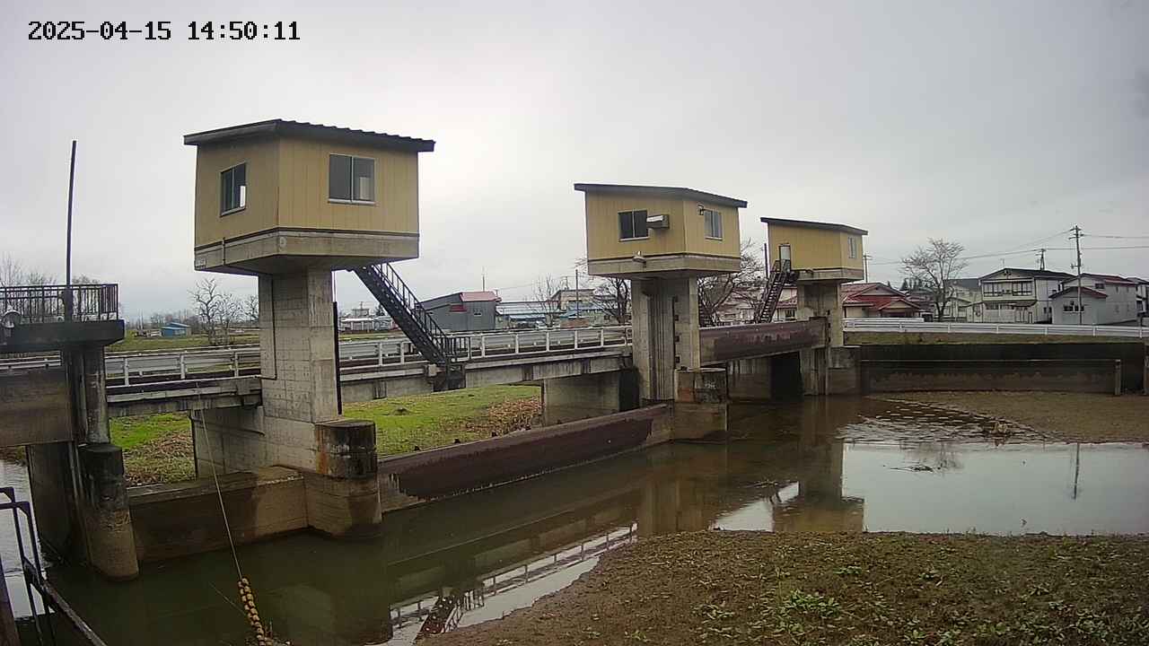 area1-20250415145013.jpg