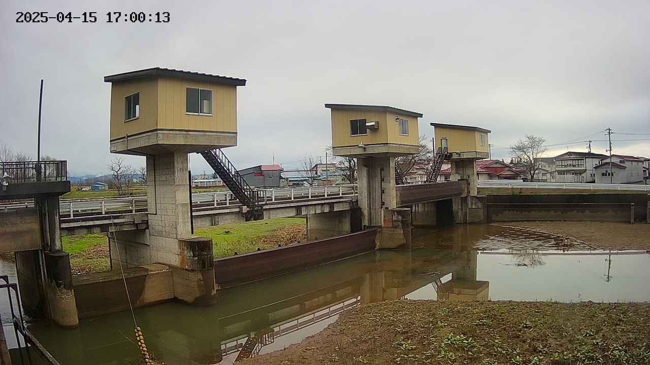 area1-20250415170014.jpg