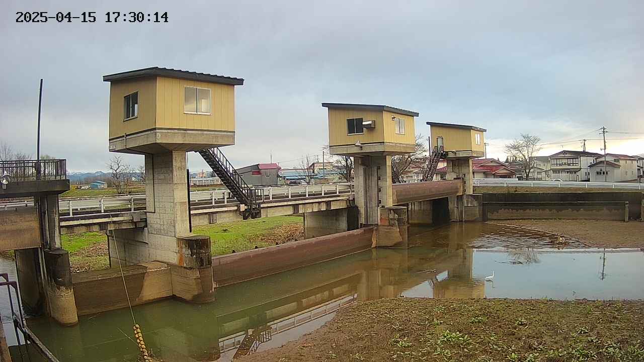 area1-20250415173015.jpg