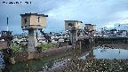 area1-20250415182019.jpg