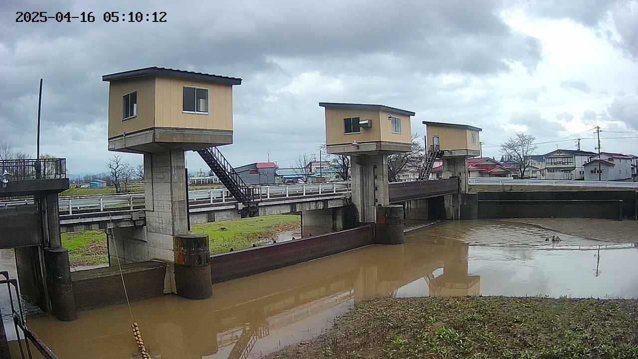 area1-20250416051013.jpg