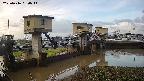 area1-20250416060014.jpg