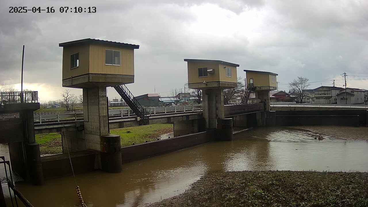 area1-20250416071013.jpg