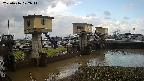 area1-20250416072012.jpg