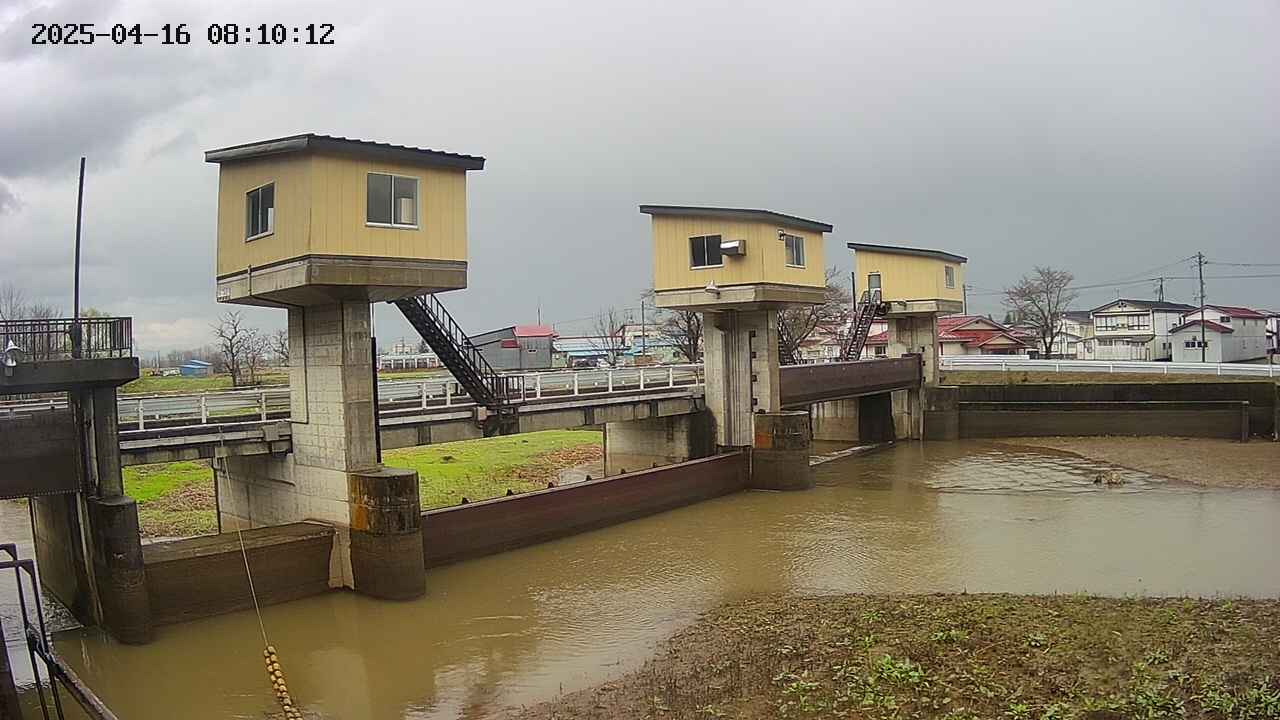 area1-20250416081013.jpg
