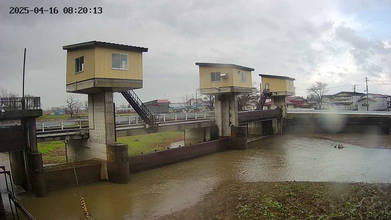 area1-20250416082014.jpg