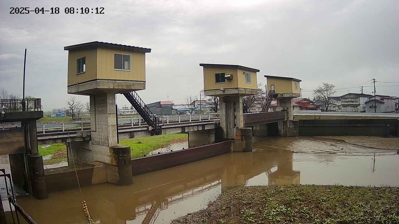 area1-20250418081013.jpg