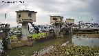 area1-20250420052016.jpg