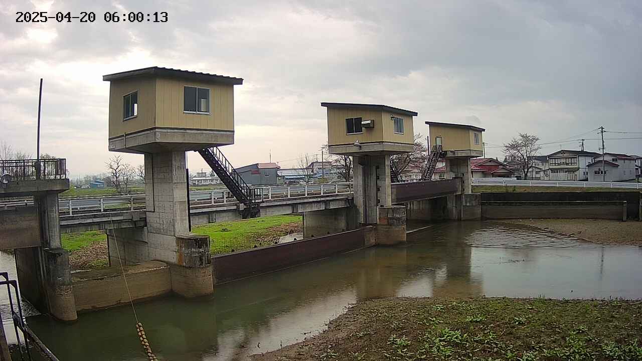 area1-20250420060014.jpg