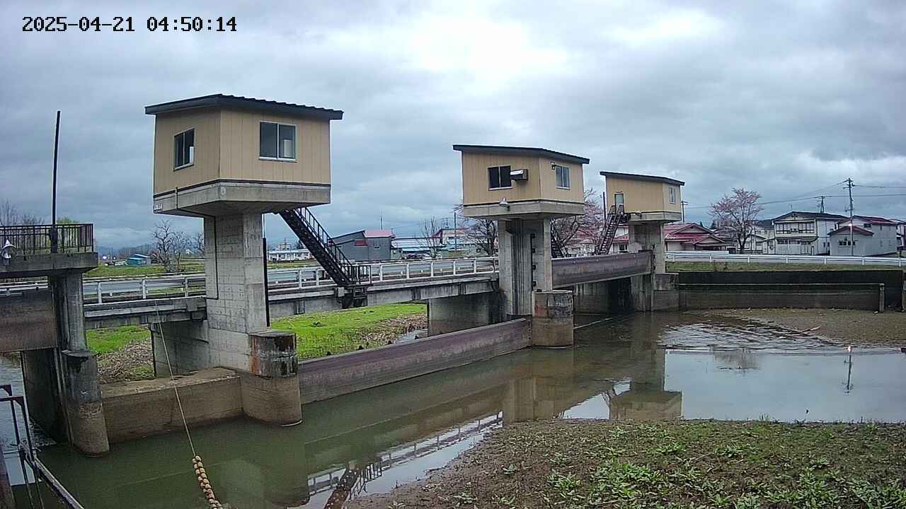 area1-20250421045015.jpg