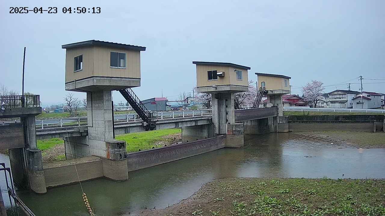 area1-20250423045013.jpg