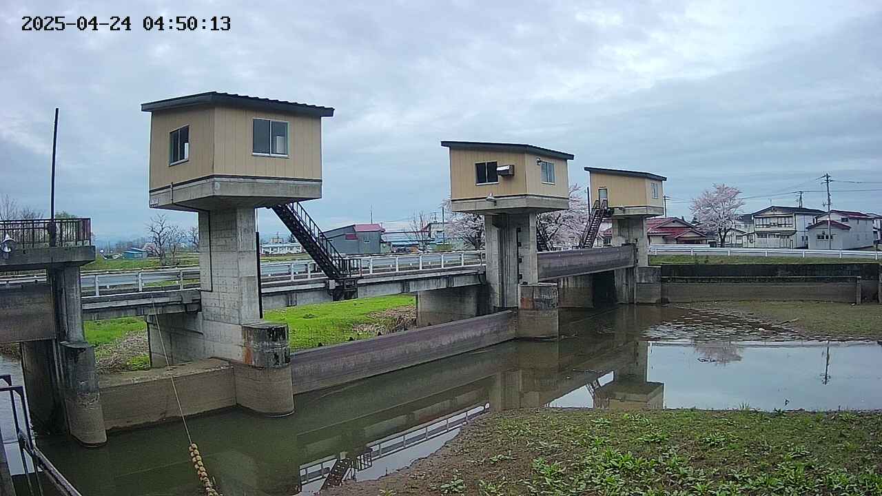 area1-20250424045014.jpg