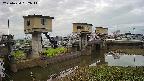 area1-20250424052015.jpg