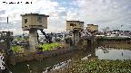 area1-20250424064013.jpg