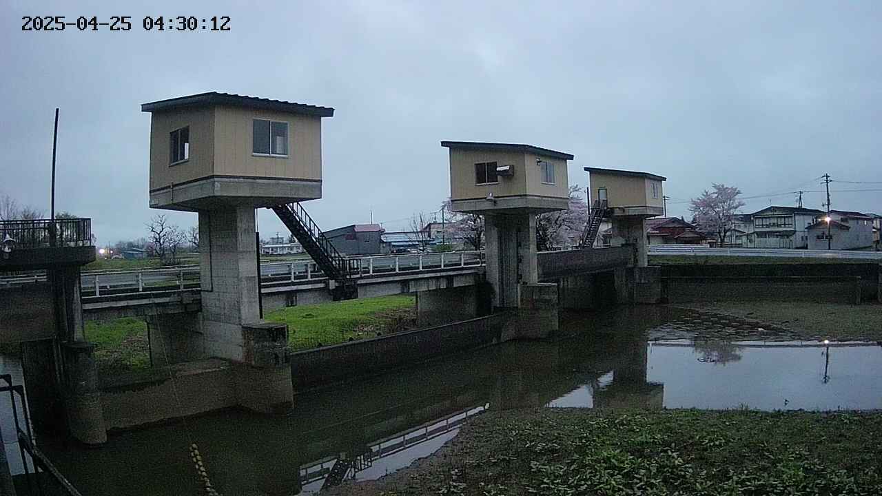 area1-20250425043013.jpg