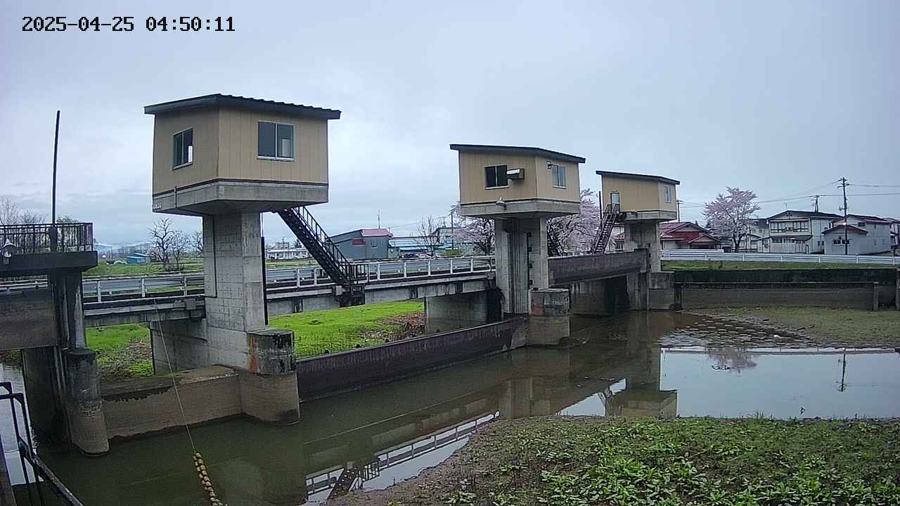 area1-20250425045012.jpg