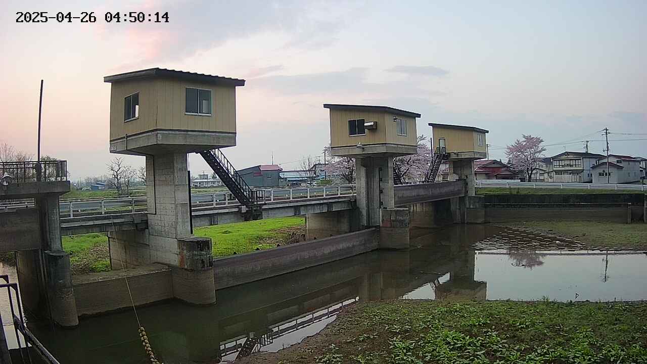 area1-20250426045015.jpg