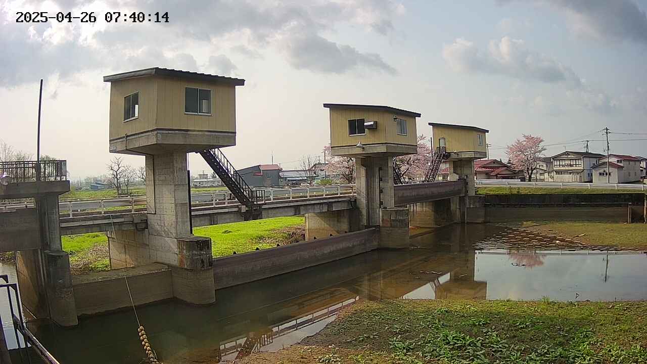 area1-20250426074015.jpg