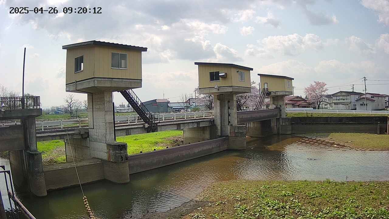 area1-20250426092013.jpg