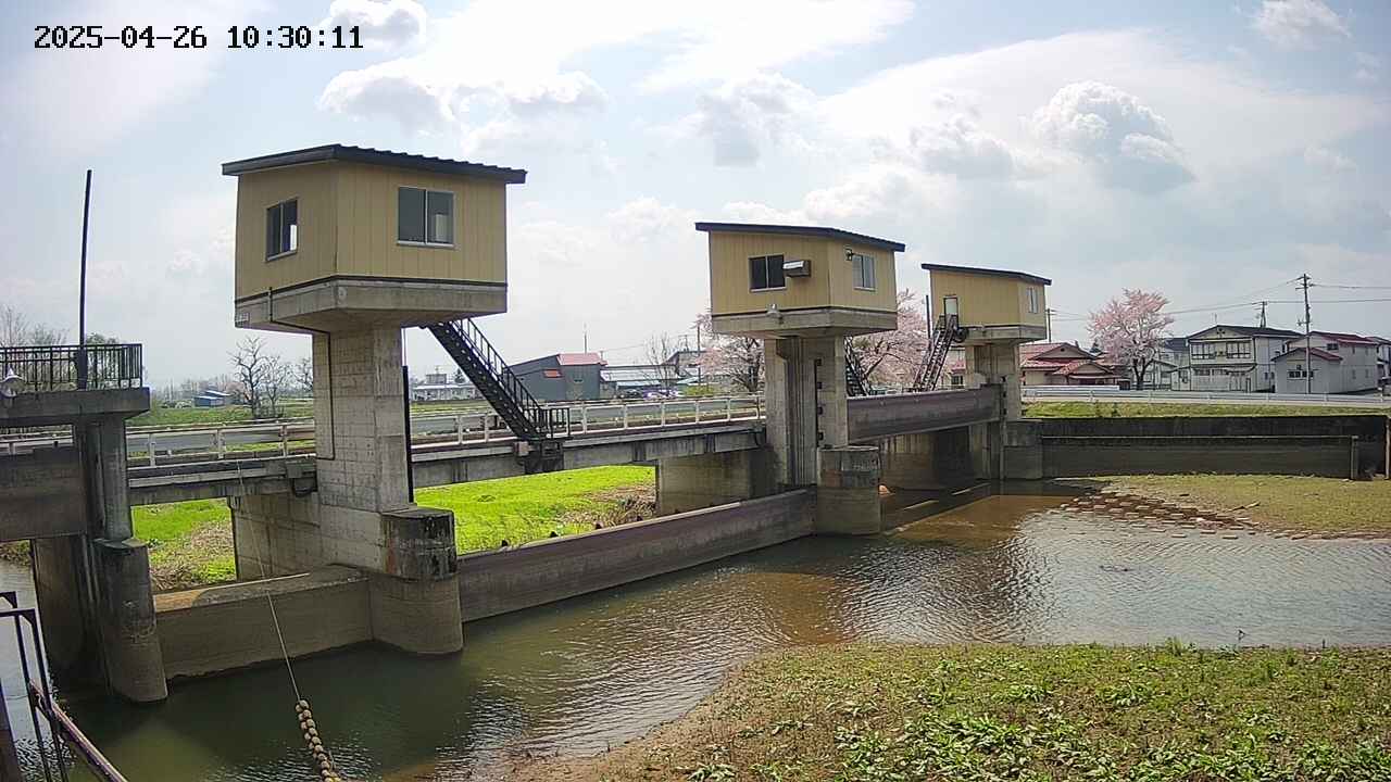 area1-20250426103012.jpg