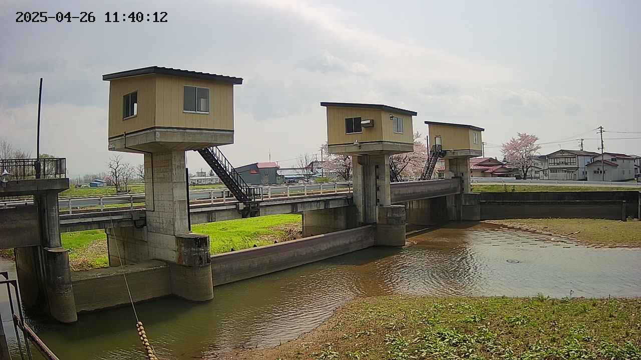 area1-20250426114013.jpg