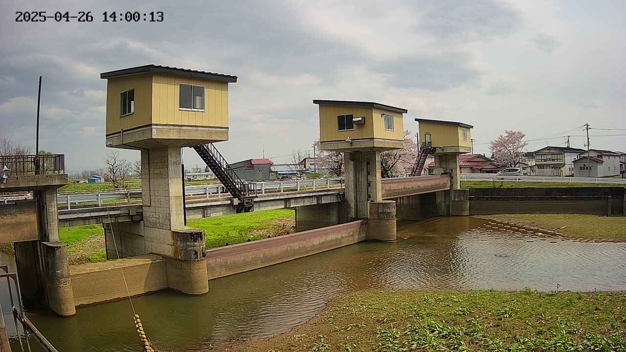 area1-20250426140014.jpg